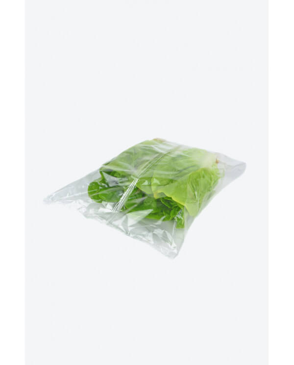 resultado envasadora horizontal plaspak resultado envasadora horizontal plaspak