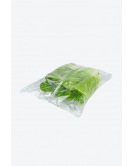 resultado envasadora horizontal plaspak resultado envasadora horizontal plaspak