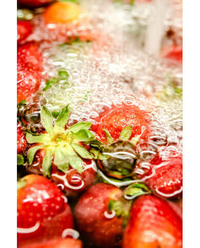 lavadora industrial de frutas y vegetales