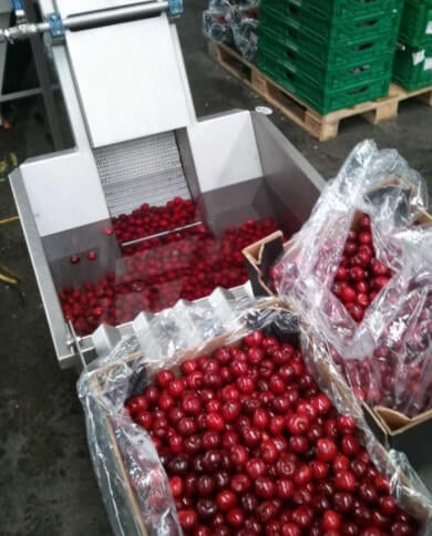 lavadora frutas y vegetales lavadora frutas y vegetales