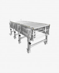 Clipeadora Clipeadora