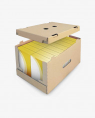 Encajadora Automática