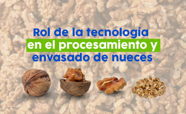 Rol de la tecnología en el procesamiento y envasado de nueces  Rol de la tecnología en el procesamiento y envasado de nueces