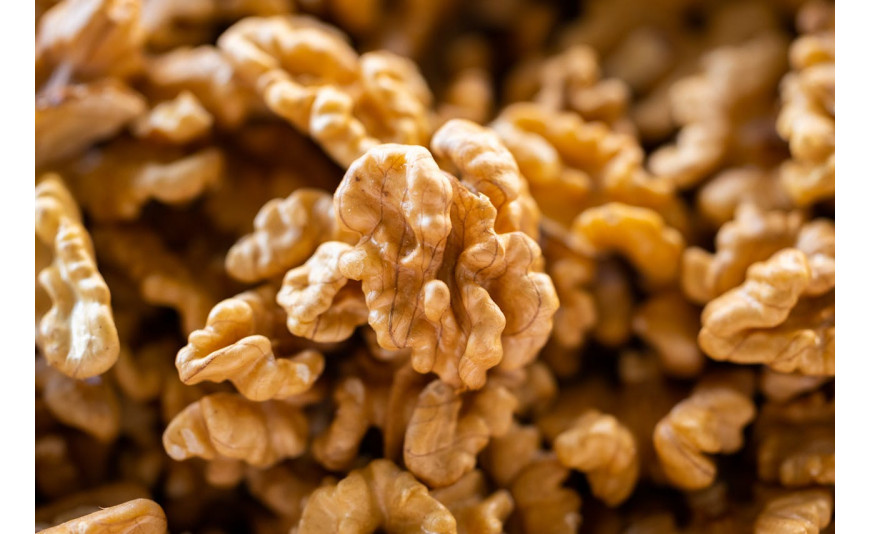 Temporada de nueces: equipos para procesar, controlar y envasar frutos secos